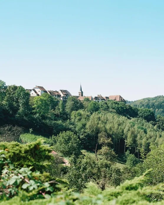 La Clairiere, photo 31