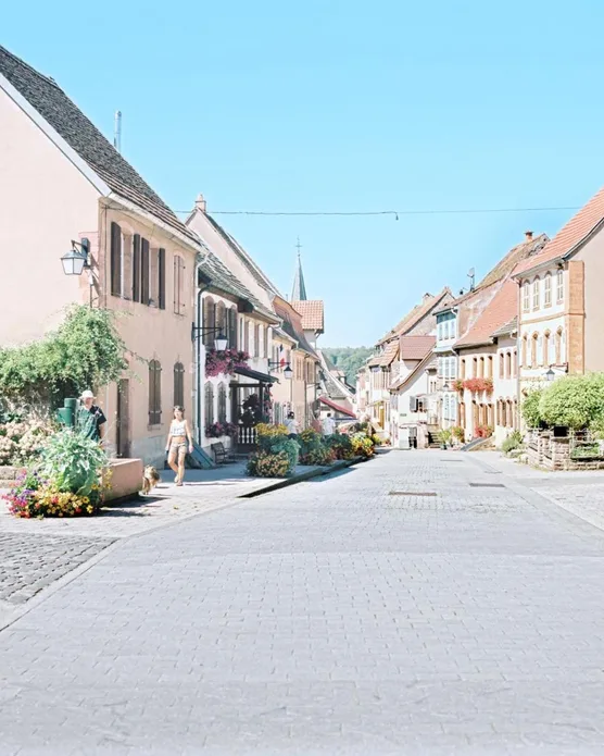 La Clairiere, photo 43