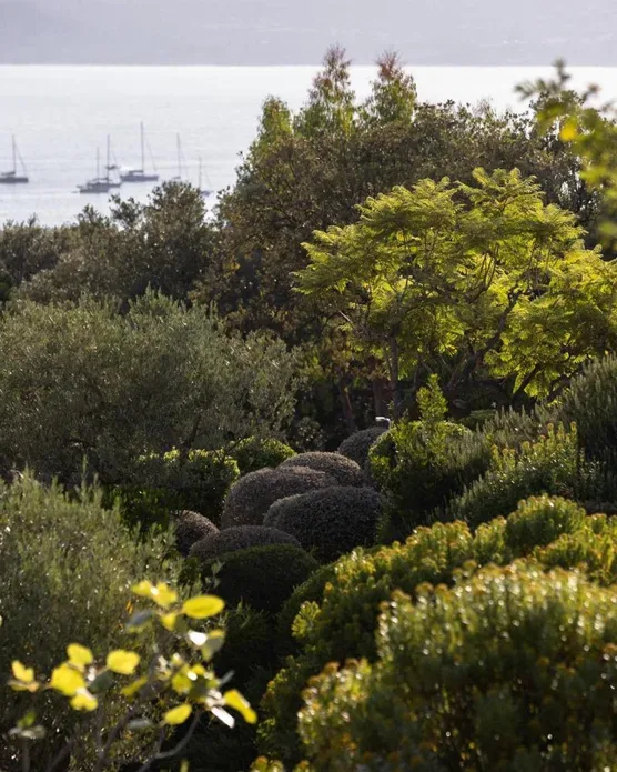 La Villa Calvi, photo 9