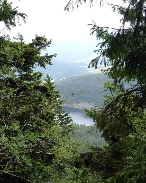 Le lac Noir, le voisin discret