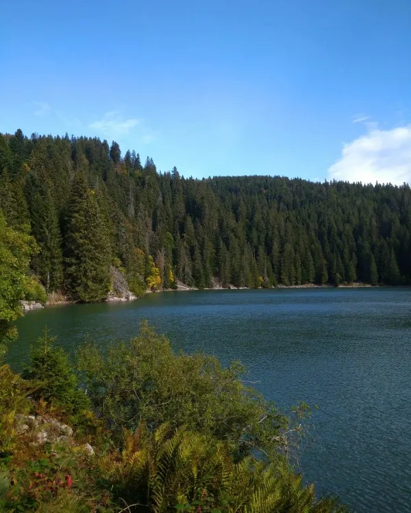 Le lac Vert, la couleur qui intrigue