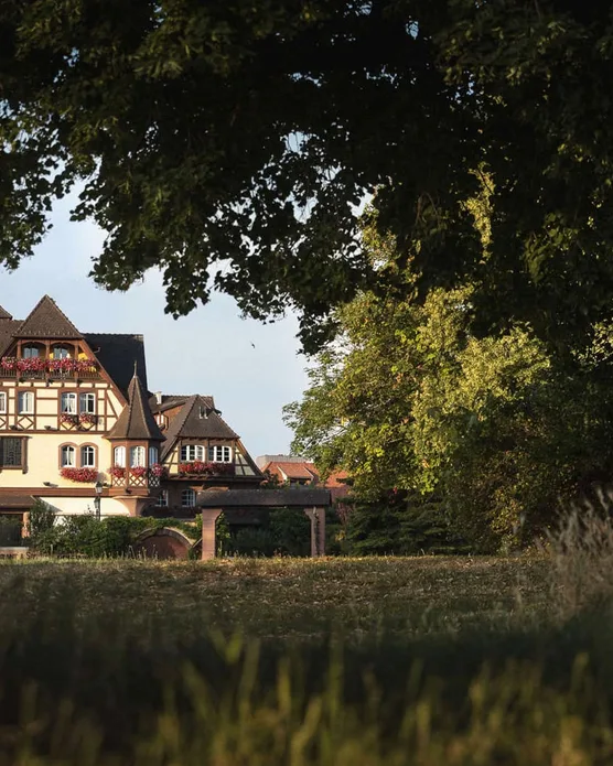 Le Château de Rilly, photo 3