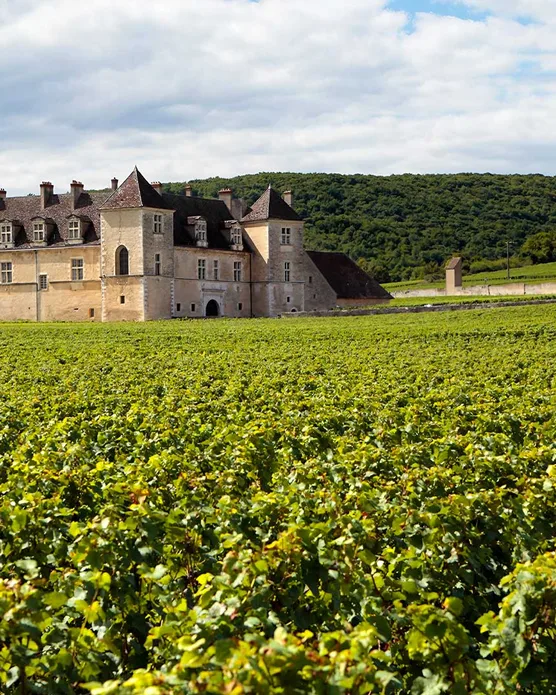 Le Château de Rilly, photo 5