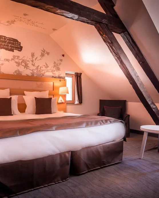 Le Grand Aigle Hôtel & spa, photo 35