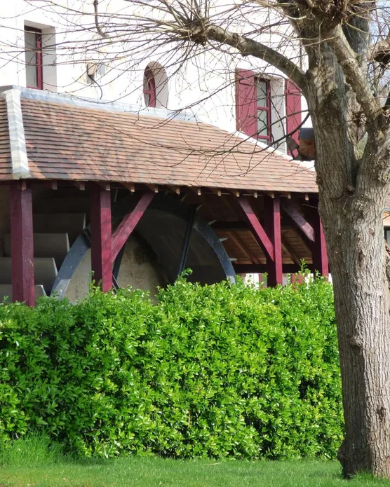Le Moulin des Marais, photo 27