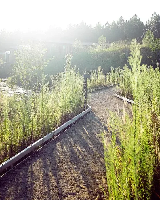 Les Echasses Eco Lodge, photo 15