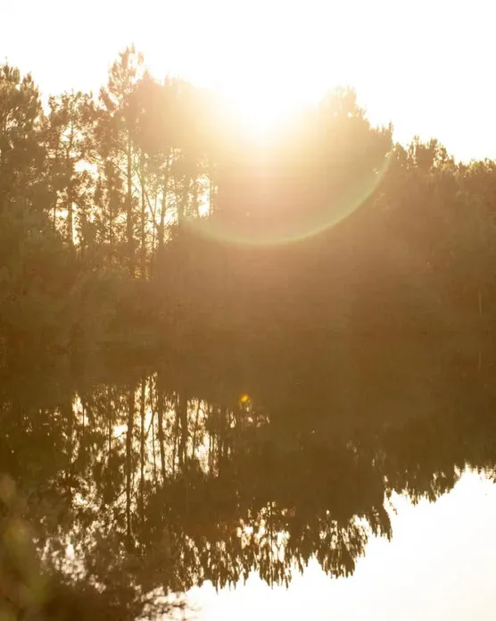 Les Echasses Eco Lodge, photo 32