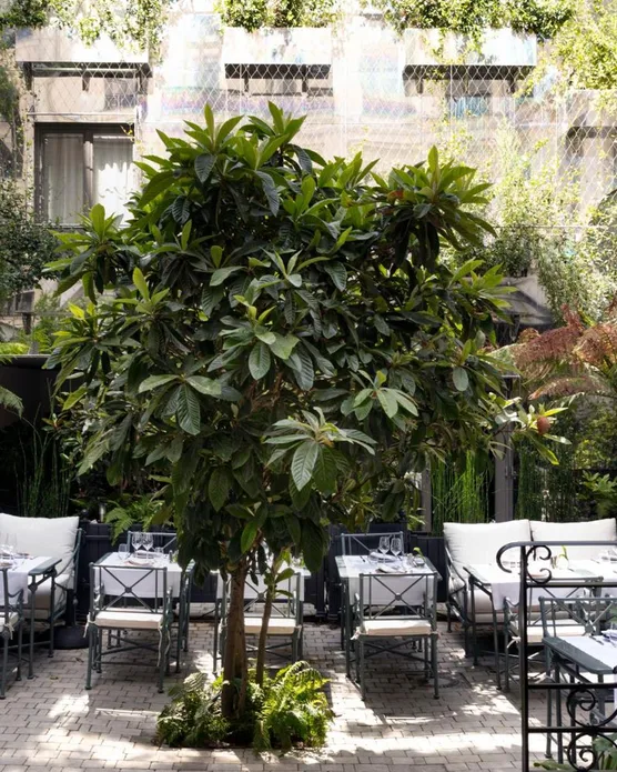 Les Jardins du Faubourg, photo 20
