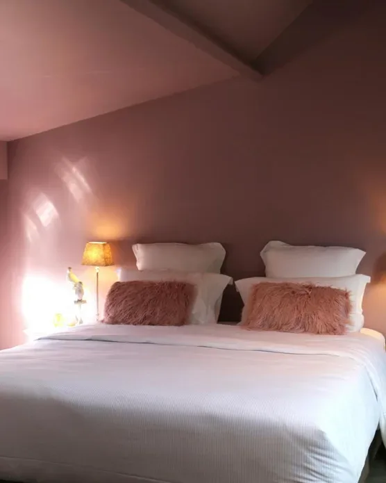 Les pins de César, photo 34