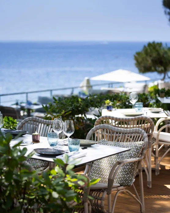 Les roches blanches Cassis, photo 40