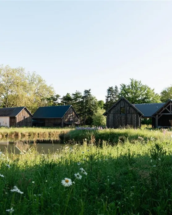Les sources de Cheverny, photo 17