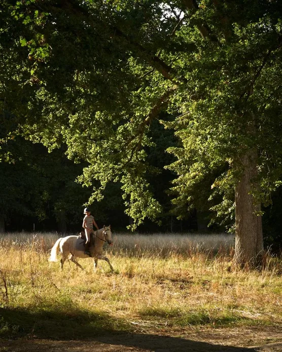Les sources de Cheverny, photo 22