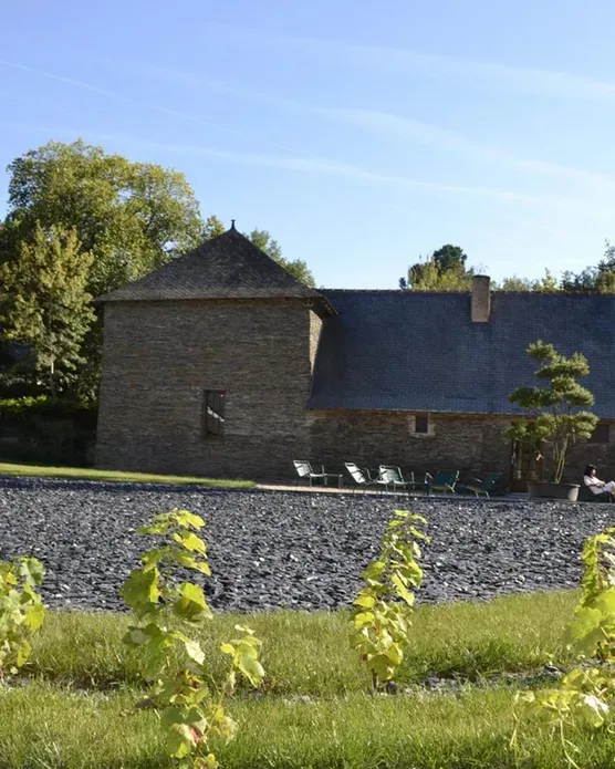 Loire & Sens, photo 3
