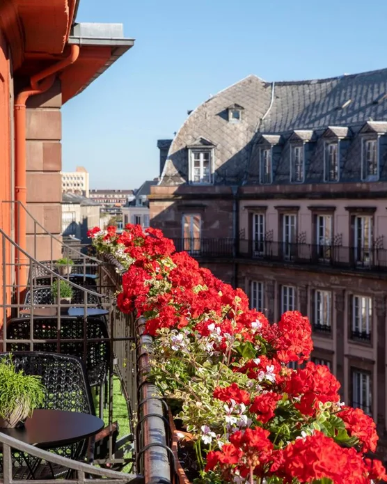 Maison Rouge Strasbourg, photo 38