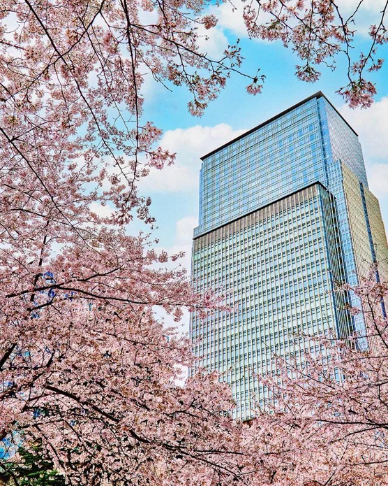 Mandarin Oriental, Tokyo