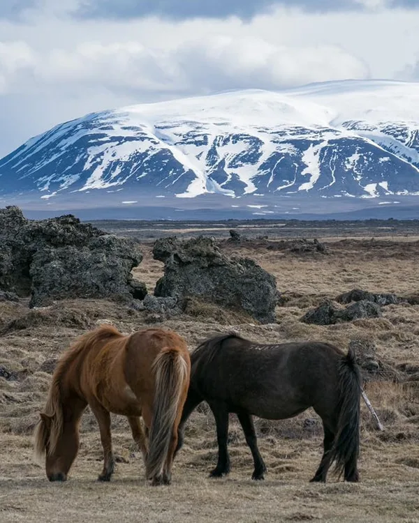 myvatn