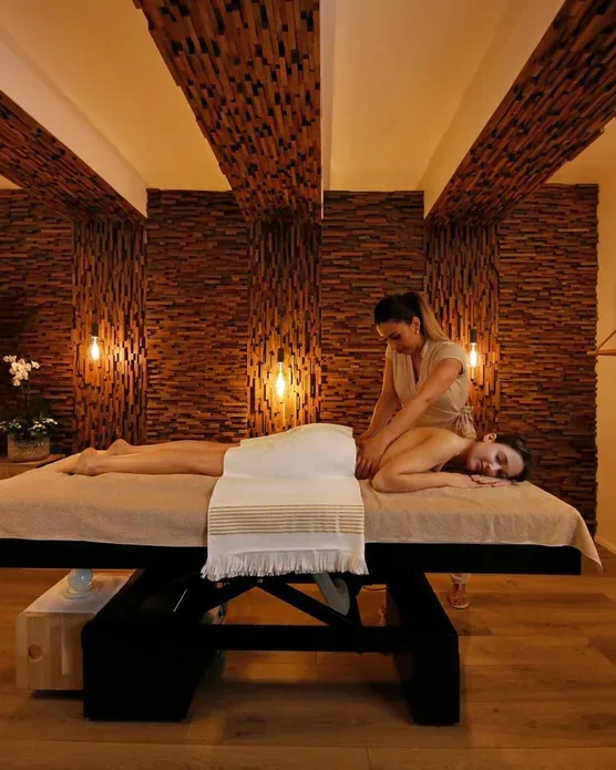 Negrecoste Hôtel & Spa, photo 2