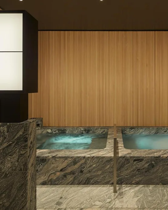 Park Hyatt Kyoto, photo 2