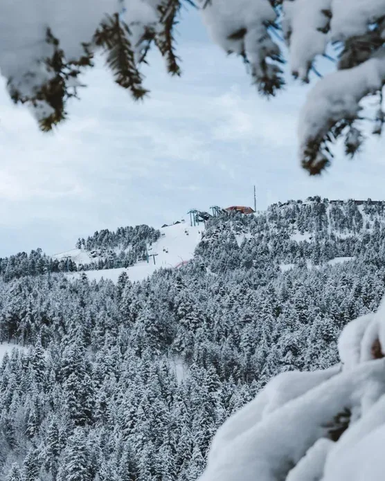 Park Piolets MountainHotel & Spa, photo 4