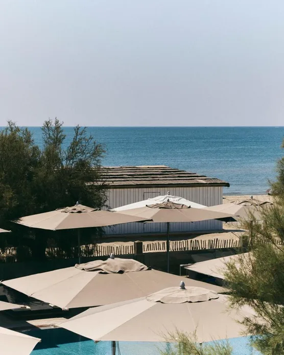 Plage Palace, photo 10