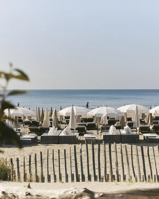 Plage Palace, photo 17