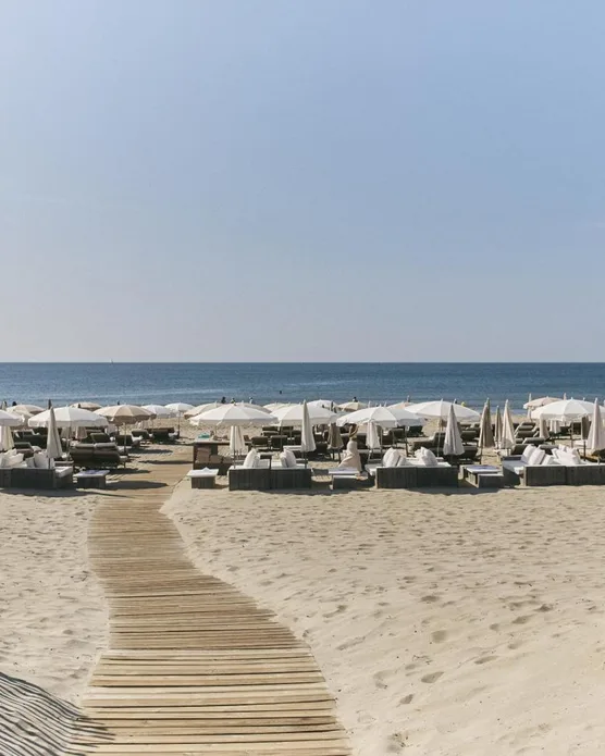 Plage Palace, photo 19