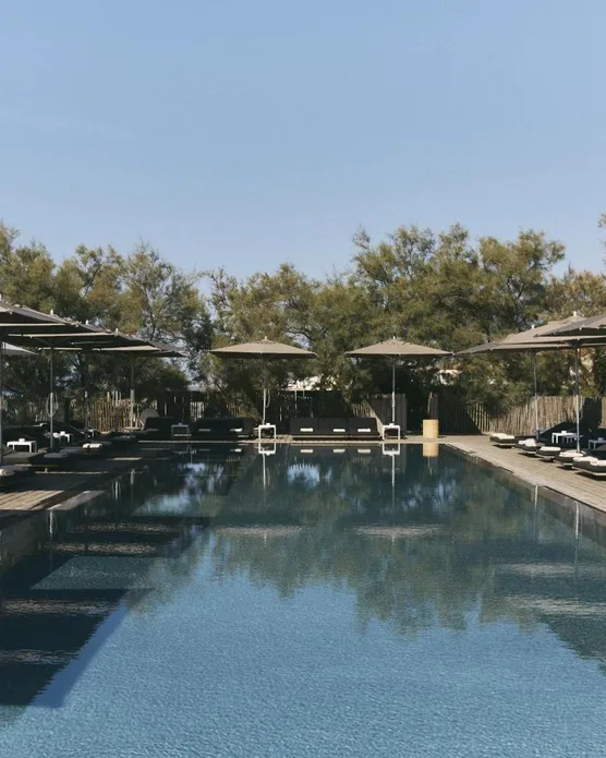 Plage Palace, photo 6