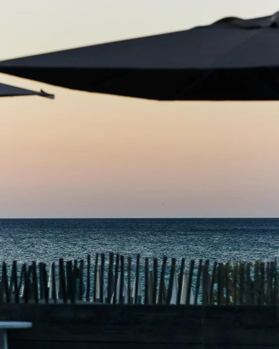 Plage Palace, photo 8
