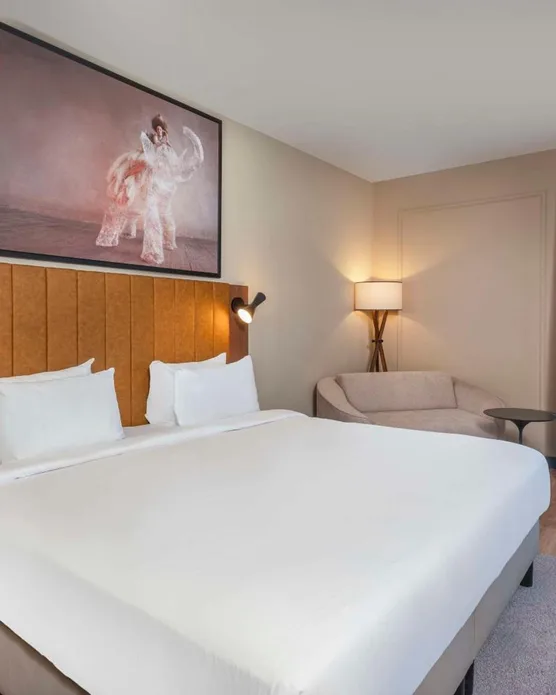 Radisson Blu Hotel Marseille Vieux Port, photo 19