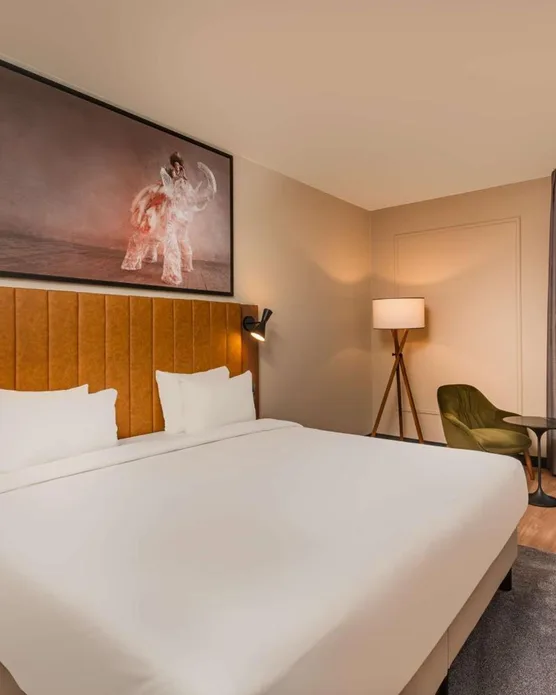 Radisson Blu Hotel Marseille Vieux Port, photo 23