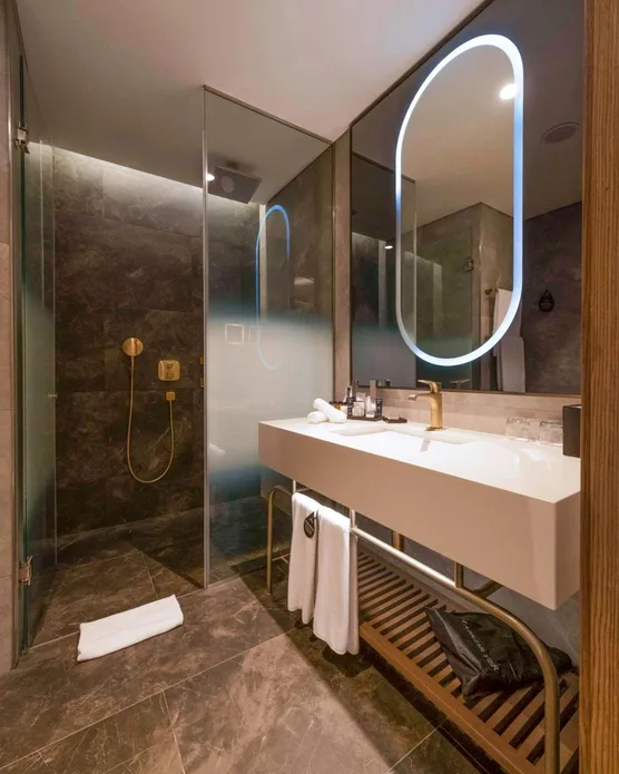 Radisson Collection Hotel, Vadistanbul, photo 10