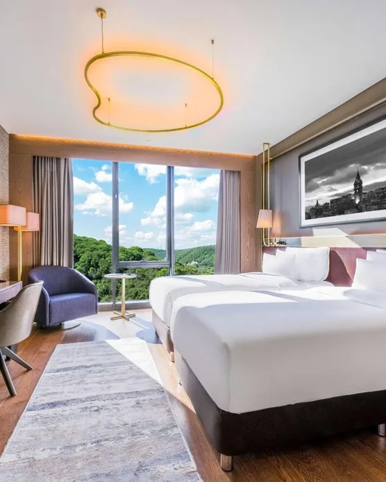 Radisson Collection Hotel, Vadistanbul, photo 5