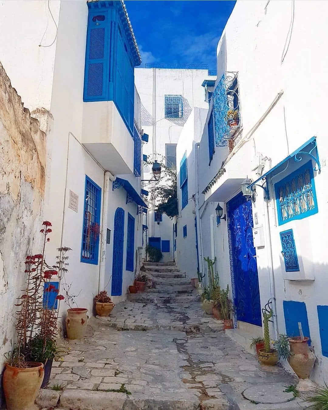 sidi bou saïd