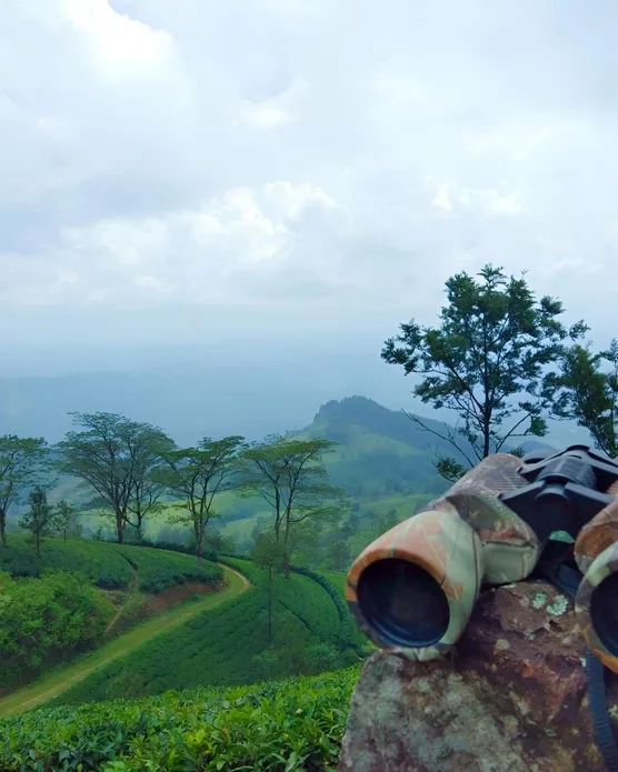 Simpson's Forest - Luxury Boutique Resort & Spa - Kandy, photo 8