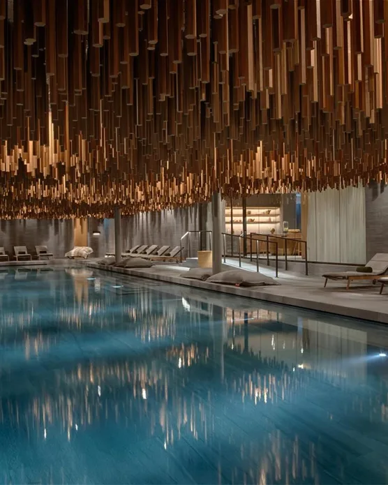 Six Senses Crans-Montana, photo 3