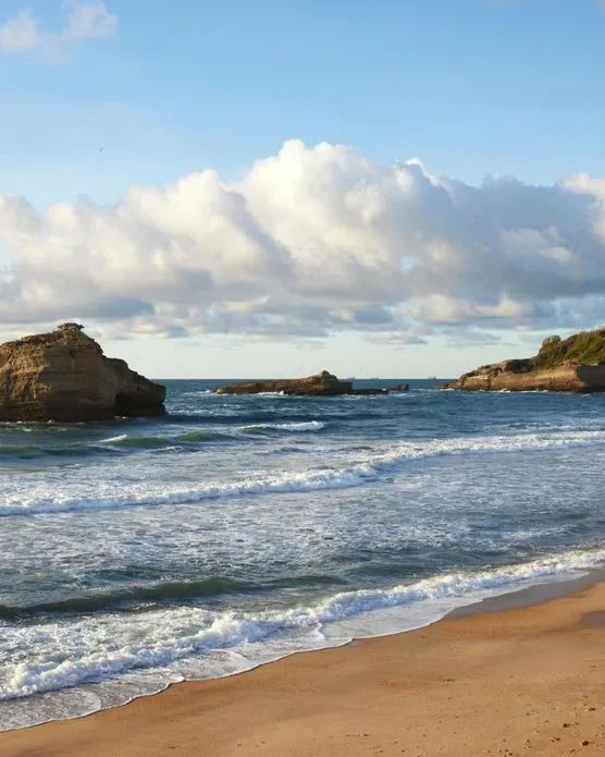 Sofitel Biarritz Le Miramar Thalassa, photo 7