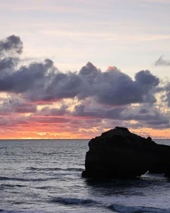 Sofitel Biarritz Le Miramar Thalassa, photo 8