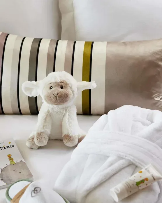 Sofitel Biarritz Le Miramar Thalassa, photo 3