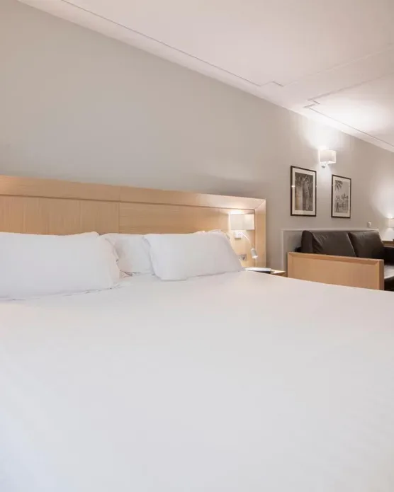 Suites Plaza Hotel & Wellness, photo 17