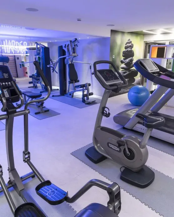 Suites Plaza Hotel & Wellness, photo 36
