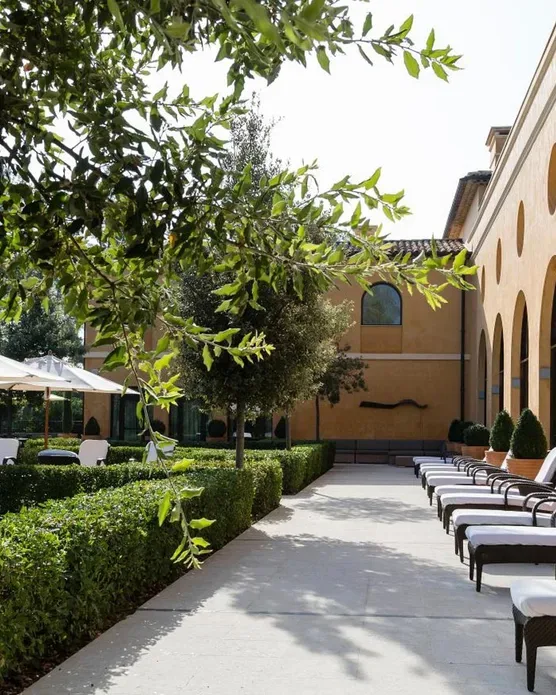 Terre Blanche, photo 45