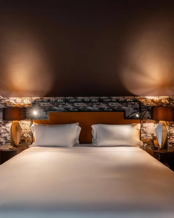 The Goethe Hotel, photo 8
