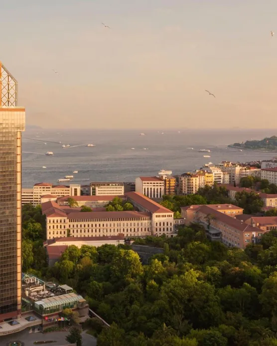 The Ritz-Carlton, Istanbul at the Bosphorus, photo 6