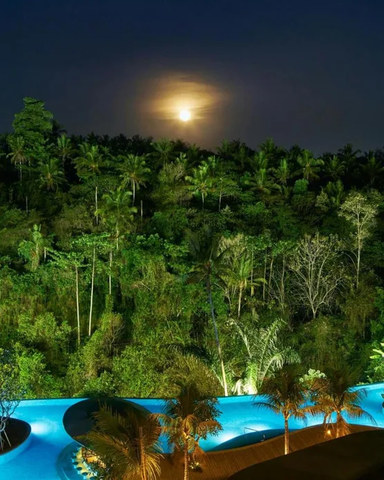 The Westin Resort & Spa Ubud, Bali, photo 6