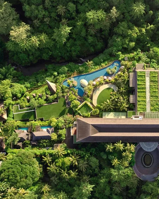 The Westin Resort & Spa Ubud, Bali, photo 7