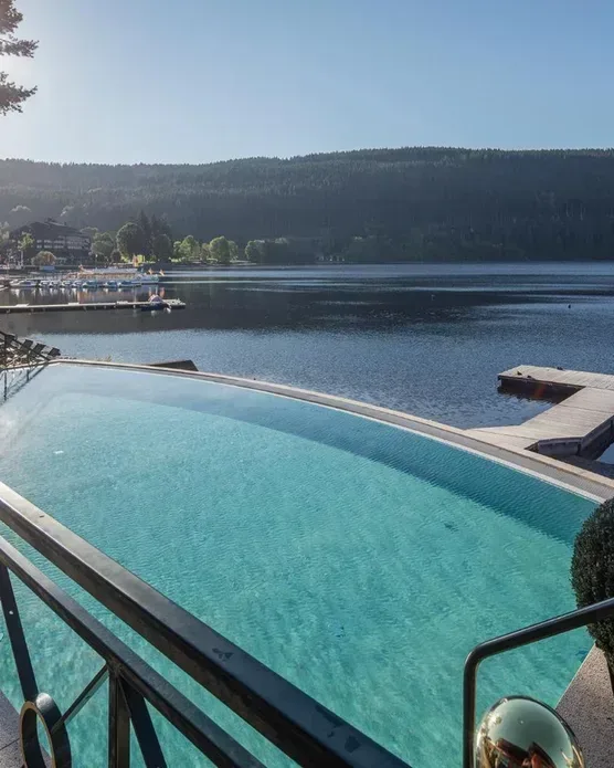 Treschers Schwarzwald Hotel, photo 4