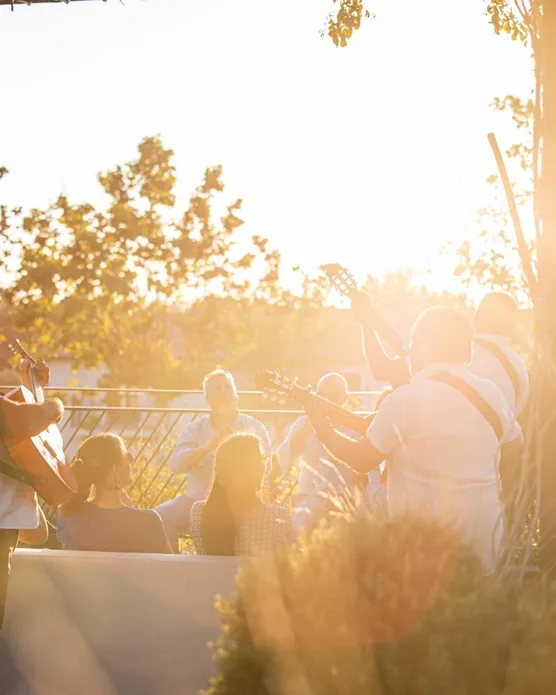 Ultimate Provence, photo 20
