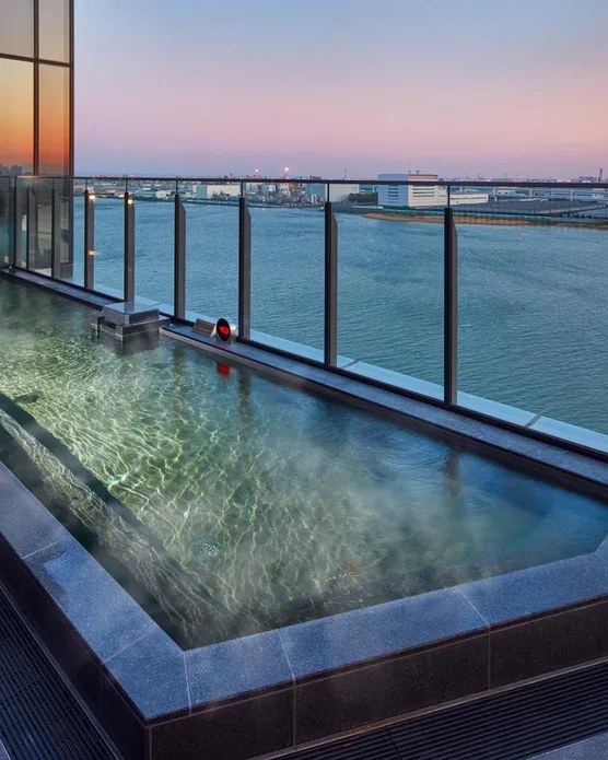 Villa Fontaine Premier Haneda Airport, photo 10