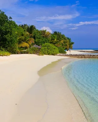 Voyager dans les plus belles îles du monde