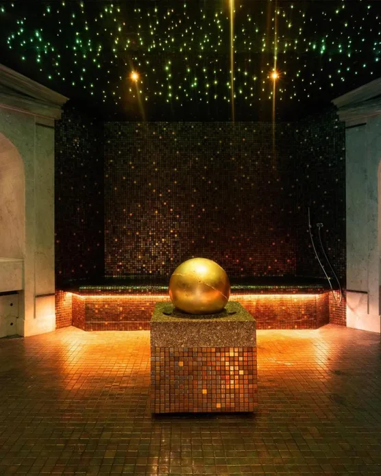 Waldorf Astoria Versailles, photo 15